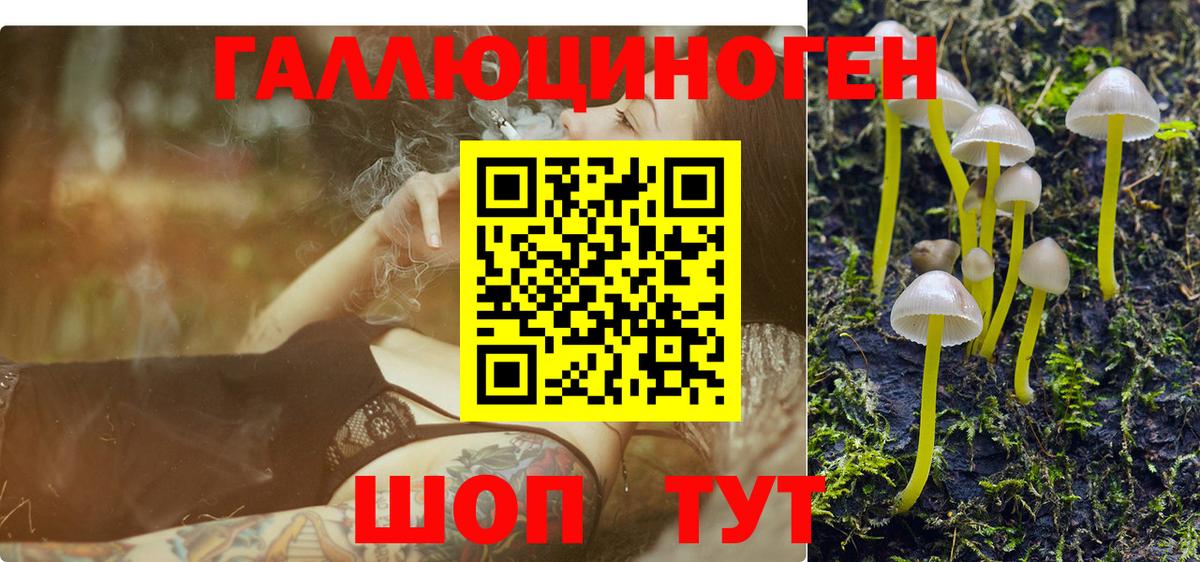 Псилоцибиновые грибы GOLDEN TEACHER  Вход с VPN  Тула 